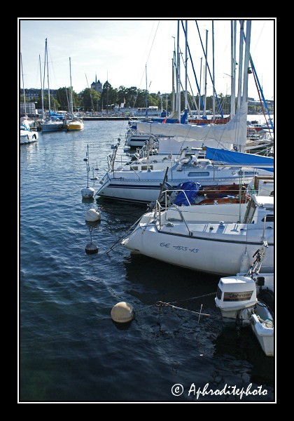 094 Le port des Eaux Vives